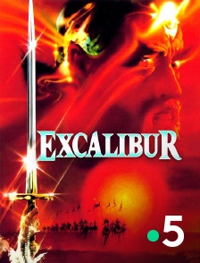 France 5 - Excalibur