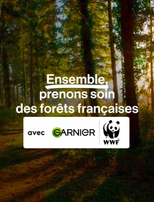 Ensemble, prenons soin des forêts françaises