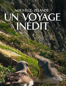 Nouvelle-Zélande, embarquement pour un voyage inédit