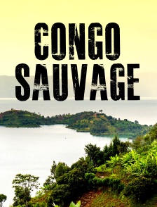 Congo sauvage