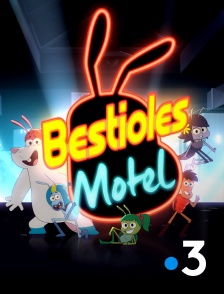 France 3 - Bestioles Motel