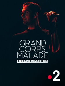 France 2 - Grand Corps Malade au Zénith de Lille