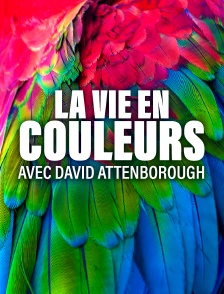 La vie en couleurs avec David Attenborough