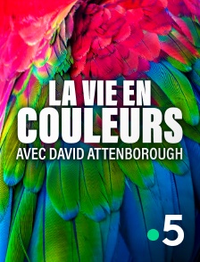 France 5 - La vie en couleurs avec David Attenborough