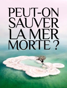 Peut-on sauver la mer Morte ?