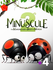 France 4 - Minuscule 2 : Les mandibules du bout du monde
