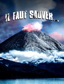 Il faut sauver...