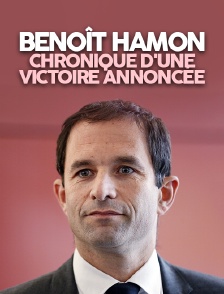 Benoît Hamon, chronique d'une victoire annoncée