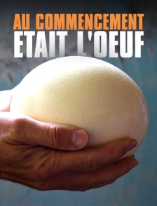 Au commencement était l'oeuf : les animaux ovipares