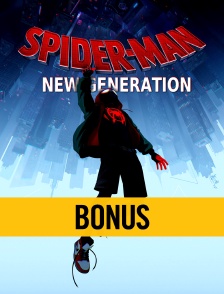 Spider-Man : New Generation : bonus