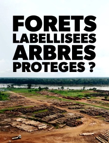 Forêts labellisées, arbres protégés ?