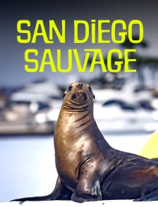 San Diego sauvage