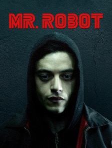 Mr.Robot
