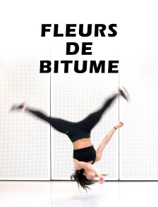 Fleurs de bitume