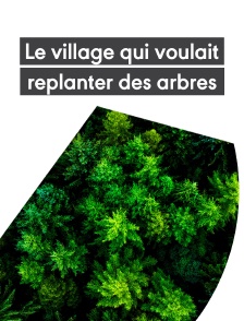 Le village qui voulait replanter des arbres