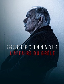 Insoupçonnable, l'affaire du Grêlé