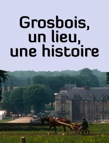 Grosbois, un lieu, une histoire
