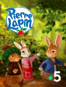 France 5 - Pierre Lapin