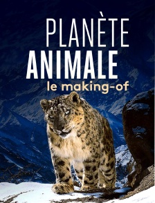 Planète animale, Making of
