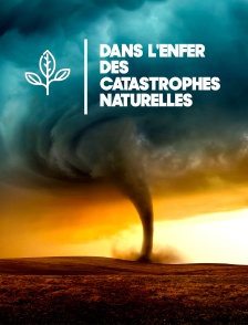 Dans l'enfer des catastrophes naturelles