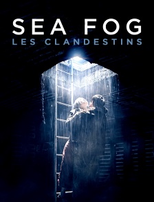 Sea fog : les clandestins