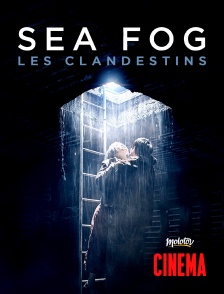 Sea fog : les clandestins