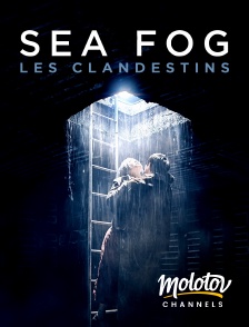 Molotov Channels - Sea fog : les clandestins