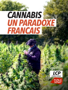 LCP Public Sénat - Cannabis, un paradoxe français