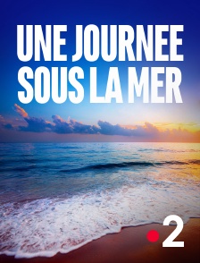 France 2 - Journée sous la mer