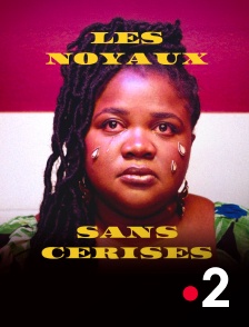 France 2 - Les noyaux sans cerise