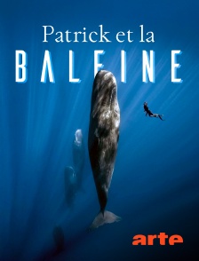 Arte - Patrick et la baleine