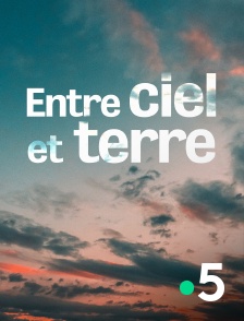 Entre ciel et terre