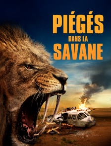 Piégés dans la savane