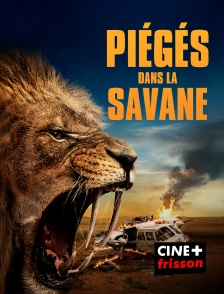 CINE+ Frisson - Piégés dans la savane