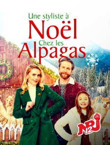 NRJ 12 - Une styliste à Noël chez les alpagas