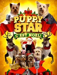 Puppy Star : c'est Noël !
