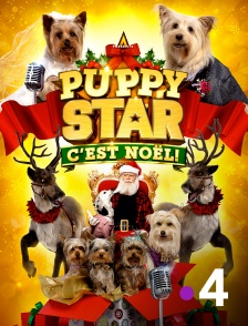 France 4 - Puppy Star : c'est Noël !