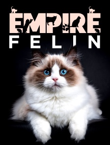 Empire félin