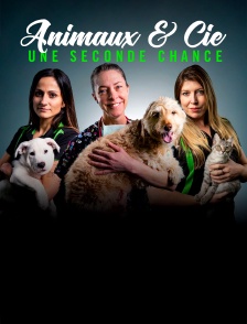 Animaux & Cie : une seconde chance