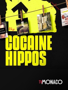 TV Monaco - Cocaine Hippos