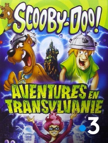 France 3 - Scooby-Doo : aventures en Transylvanie