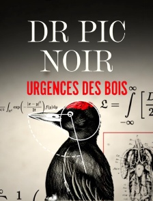 Dr Pic Noir : urgences des bois