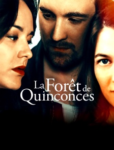 La forêt de Quinconces