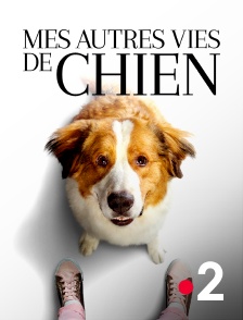 France 2 - Mes autres vies de chien