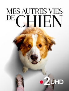 France 2 UHD - Mes autres vies de chien