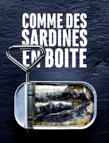 Comme des sardines en boîte