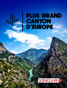 Science et Vie TV - Gorges du Verdon : Plus grand canyon d'Europe !