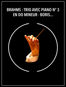 Brahms : Trio avec piano n° 3 en do mineur - Boris Pergamenschikow, Elena Bashkirova, Maxim Vengerov