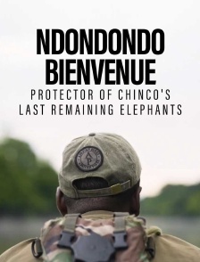 Ndondondo Bienvenue - Protector of chinco's last remaining elephants