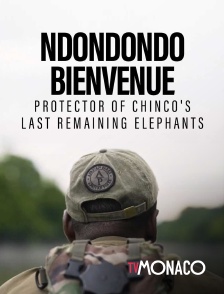TV Monaco - Ndondondo Bienvenue - Protector of chinco's last remaining elephants
